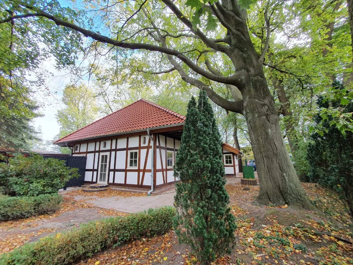 Stadtpark Sauna Hannover, Bild 3 von 3