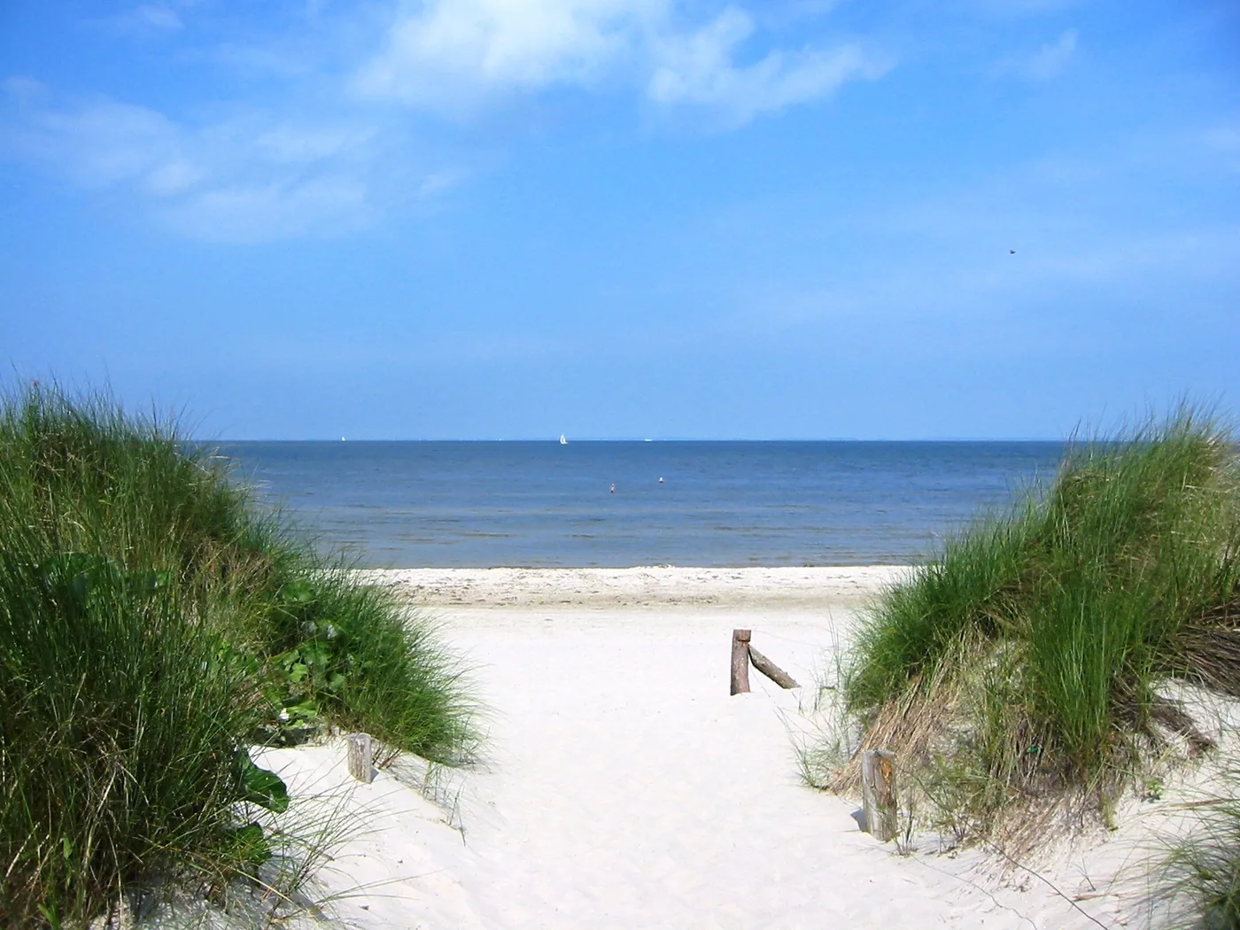Club der Seehunde Lubmin (SV Sturmvogel Lubmin e.V.)