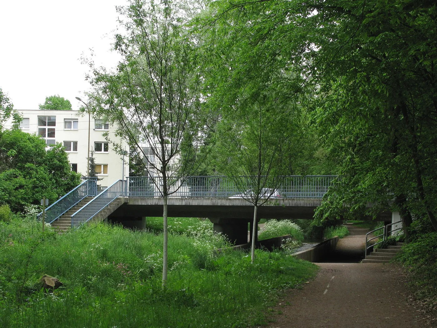 Dietenbachsee