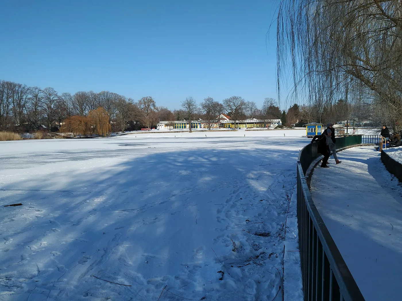 Berliner Seehunde – Winterschwimmen im Freibad Orankesee