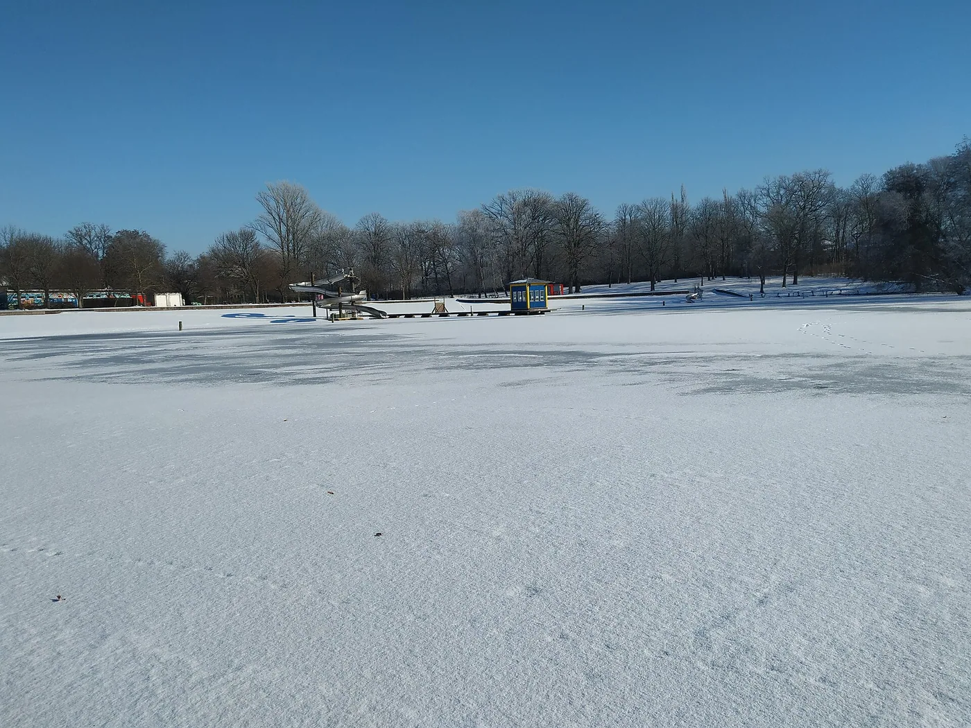Berliner Seehunde – Winterschwimmen im Freibad Orankesee, Bild 3 von 3