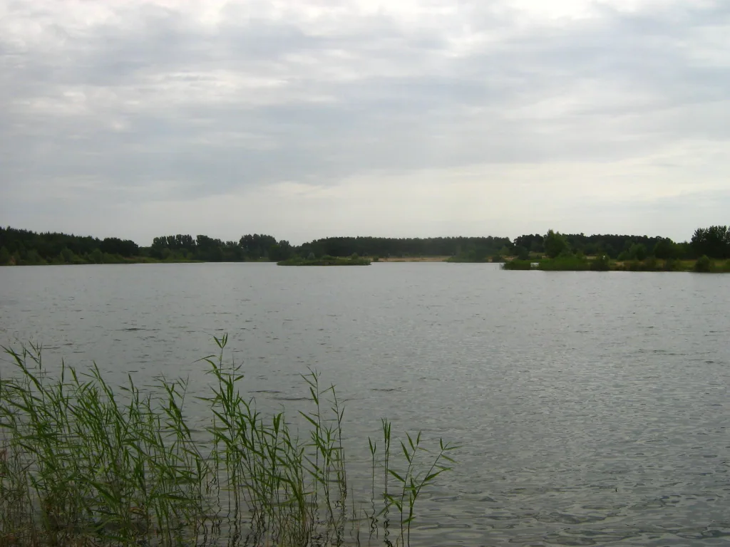Ice Dippers Berlin – Kiessee Schildow (Brandenburg-Standort) in Mühlenbecker Land / Schildow, Bild 2 von 3