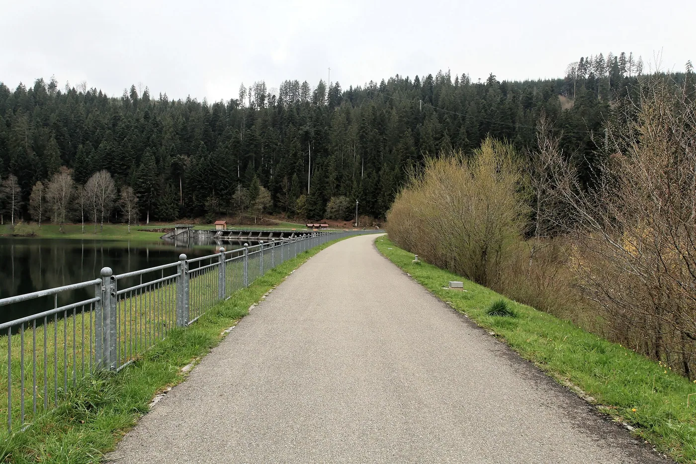 Nagoldtalsperre (oberer See)