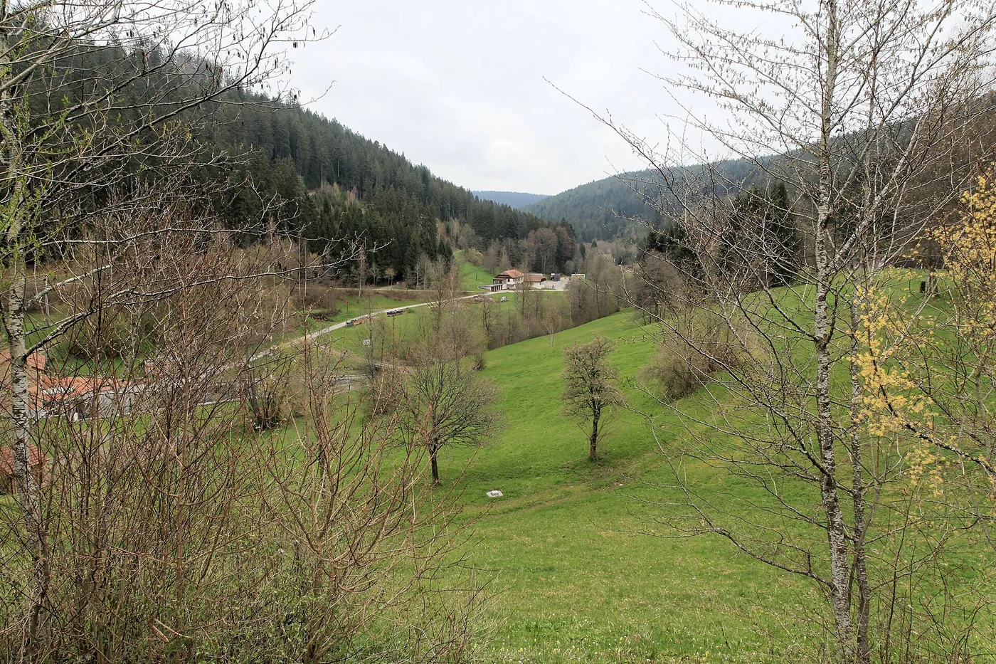 Nagoldtalsperre (oberer See) in Seewald, Bild 2 von 3