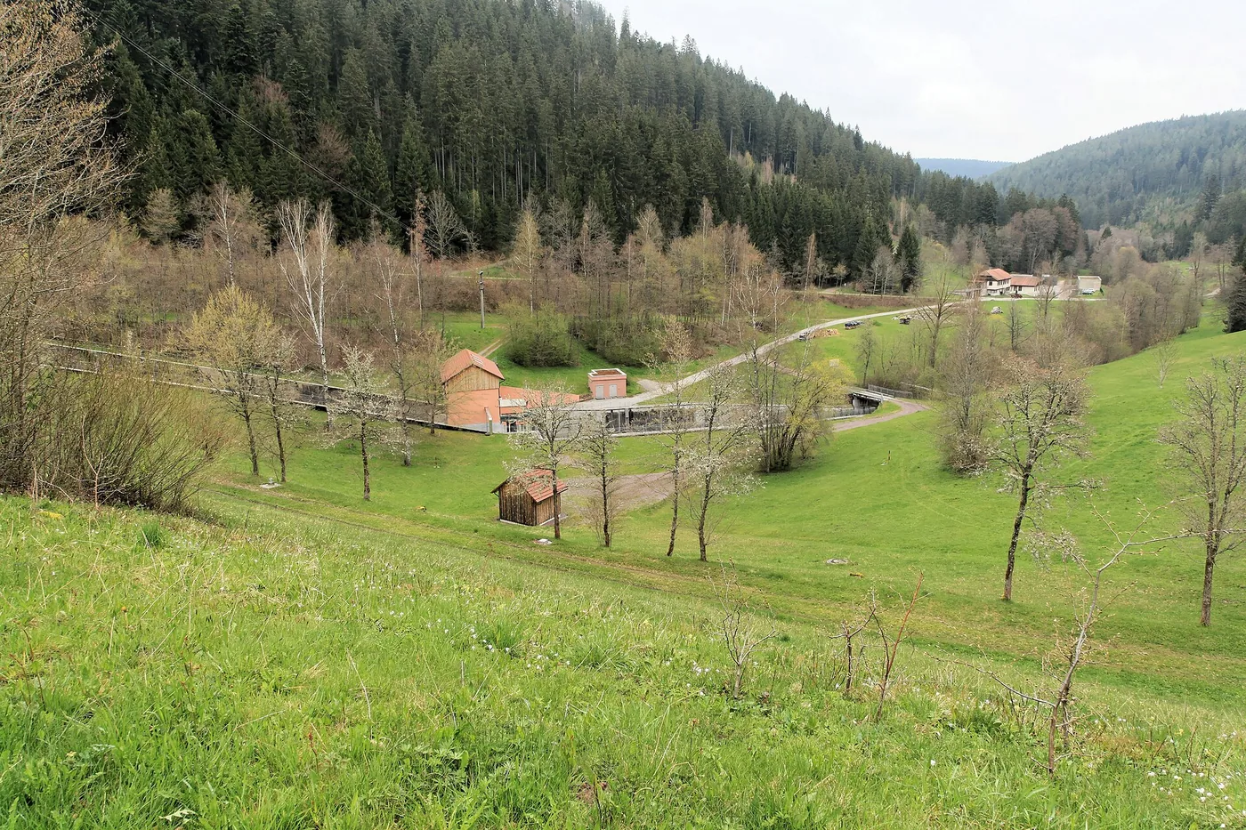 Nagoldtalsperre (oberer See) in Seewald, Bild 3 von 3