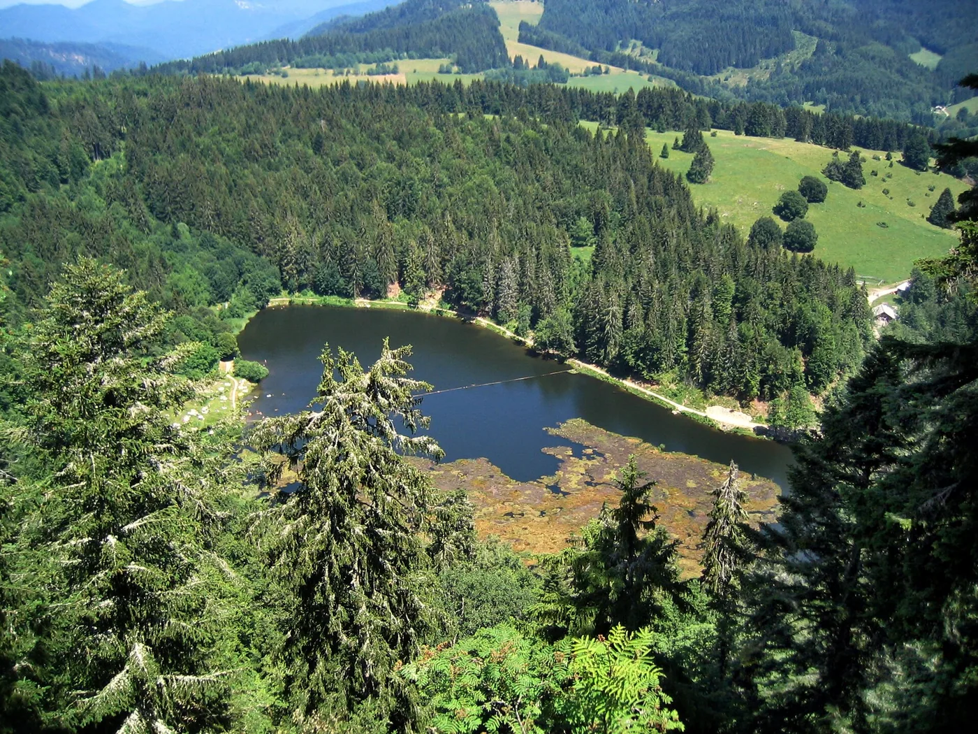 Nonnenmattweiher in Kleines Wiesental, Bild 3 von 3