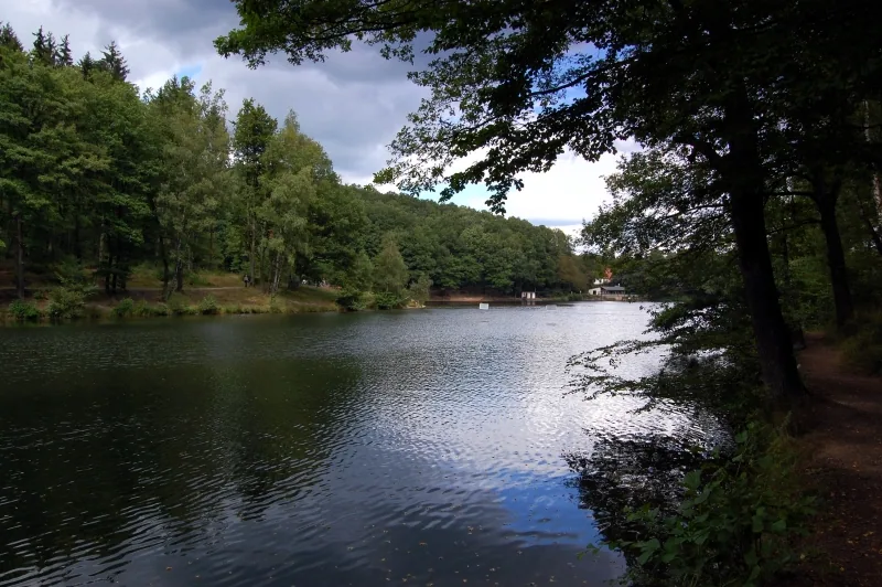 Eisschwimmen im Itzenplitzer Weiher (Merchweiler Seelöwen) in Schiffweiler-Heiligenwald, Bild 2 von 3