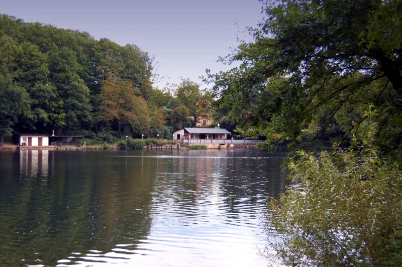 Eisschwimmen im Itzenplitzer Weiher (Merchweiler Seelöwen) in Schiffweiler-Heiligenwald, Bild 3 von 3
