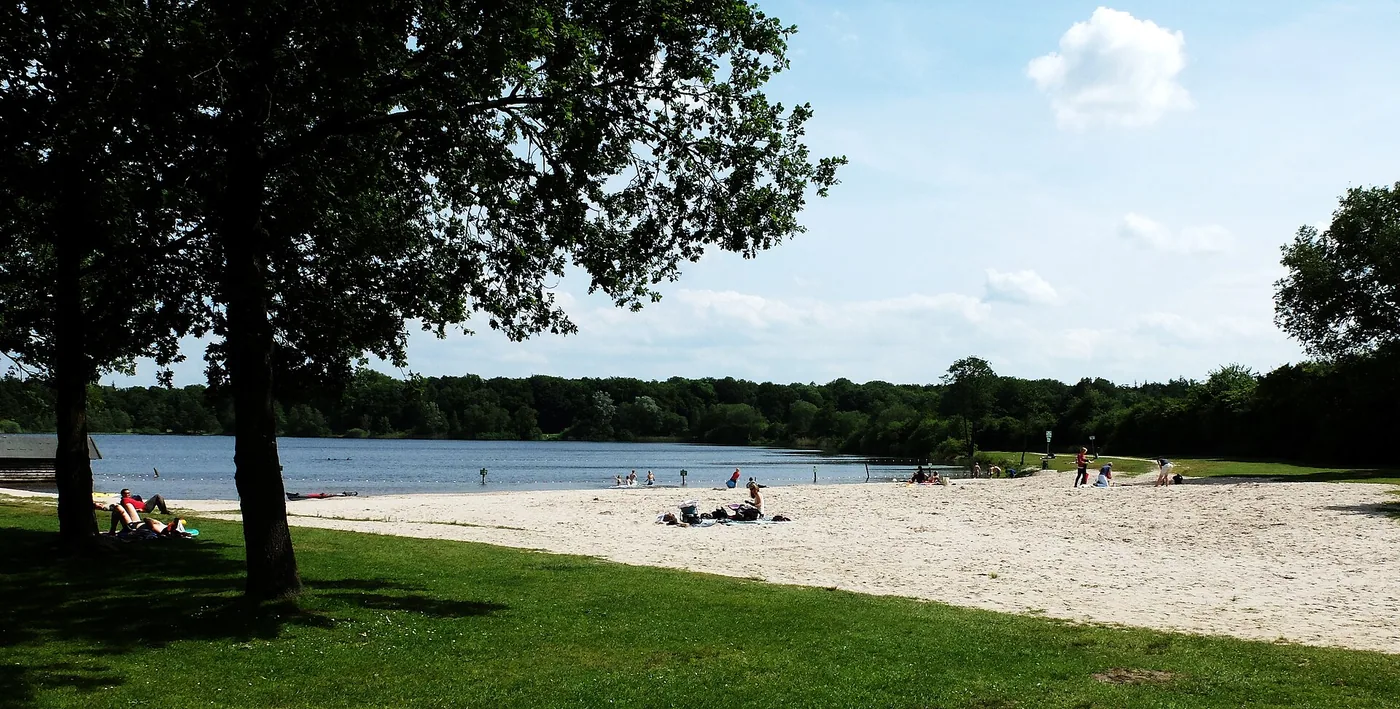 Woldsee Bad Zwischenahn - Winterschwimmen (Gruppe aus Oldenburg)