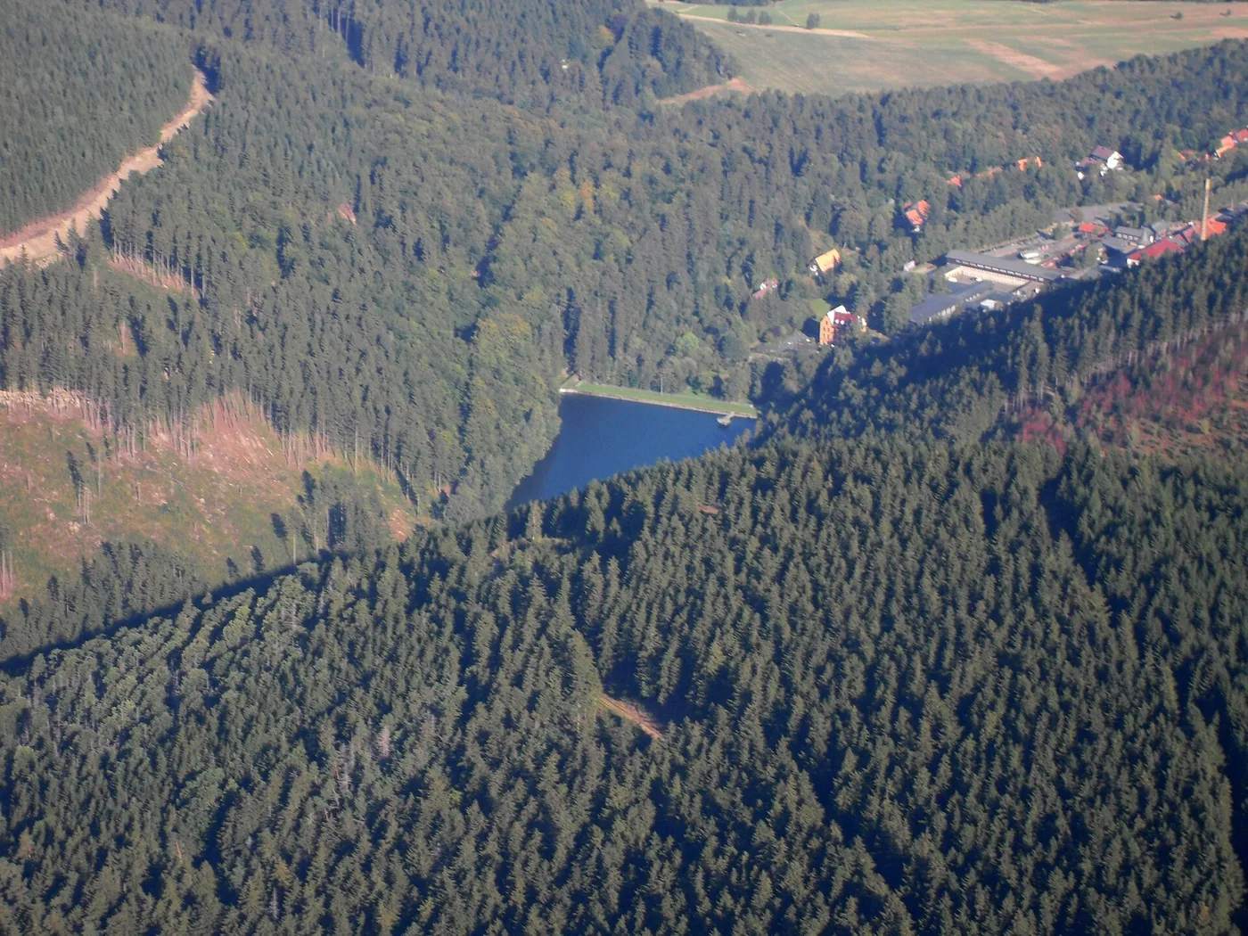Goslarsche Robben - Eisbaden am Herzberger Teich