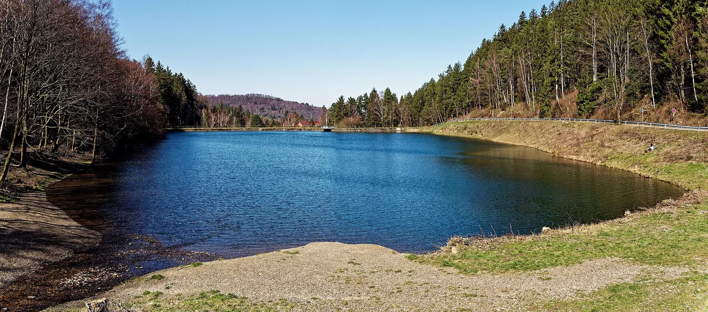 Goslarsche Robben - Eisbaden am Herzberger Teich, Bild 2 von 3