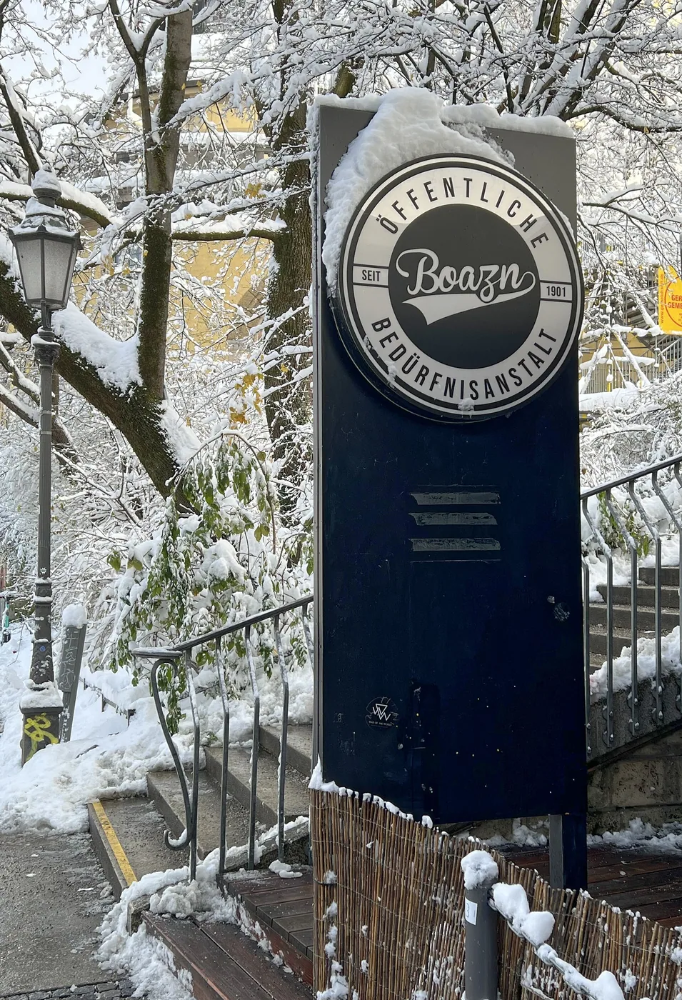 Warener Eisvögel (Volksbad Waren)
