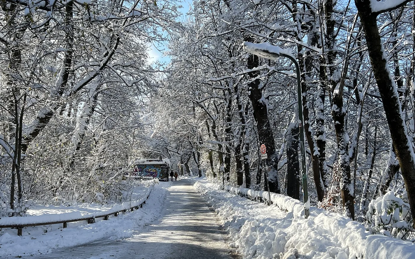 Warener Eisvögel (Volksbad Waren) in Waren (Müritz), Bild 2 von 3