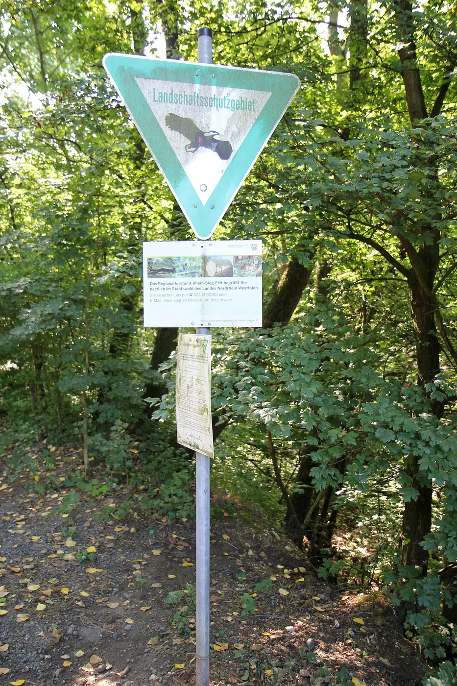 Liblarer See – Wassersportfreunde Liblar 1960 e.V. ('Liblarer Seegurken')