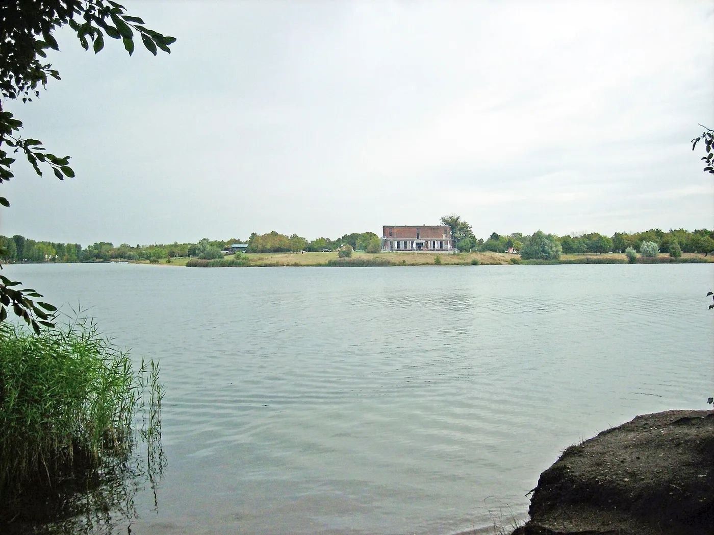 Leipziger Pinguine e.V. (Winterschwimmen Kulkwitzer See) in Leipzig / Markranstädt, Bild 3 von 3
