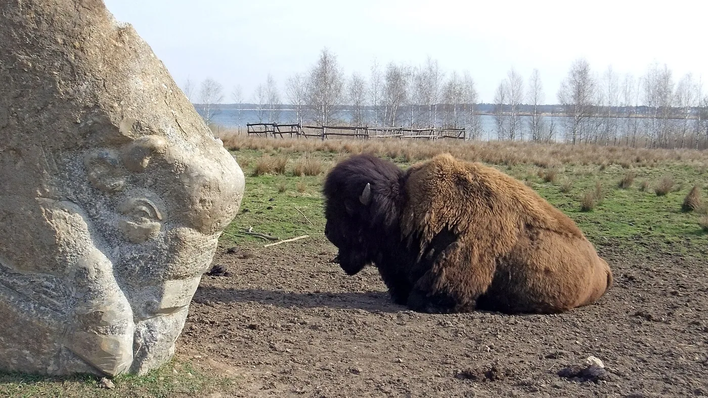 Health Meeting Leipzig – Winter- & Eisbaden Cospudener See