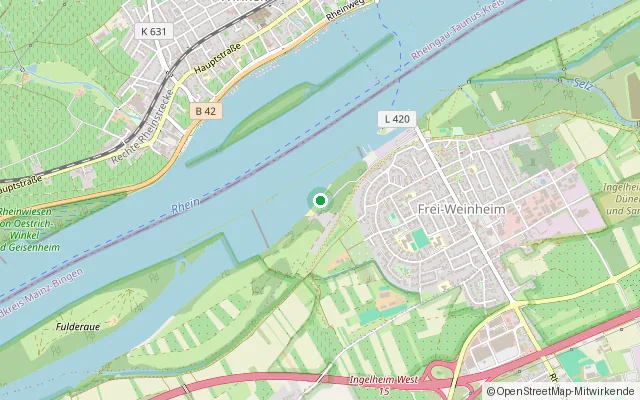 Neujahrstauchen am Rheinstrand Ingelheim