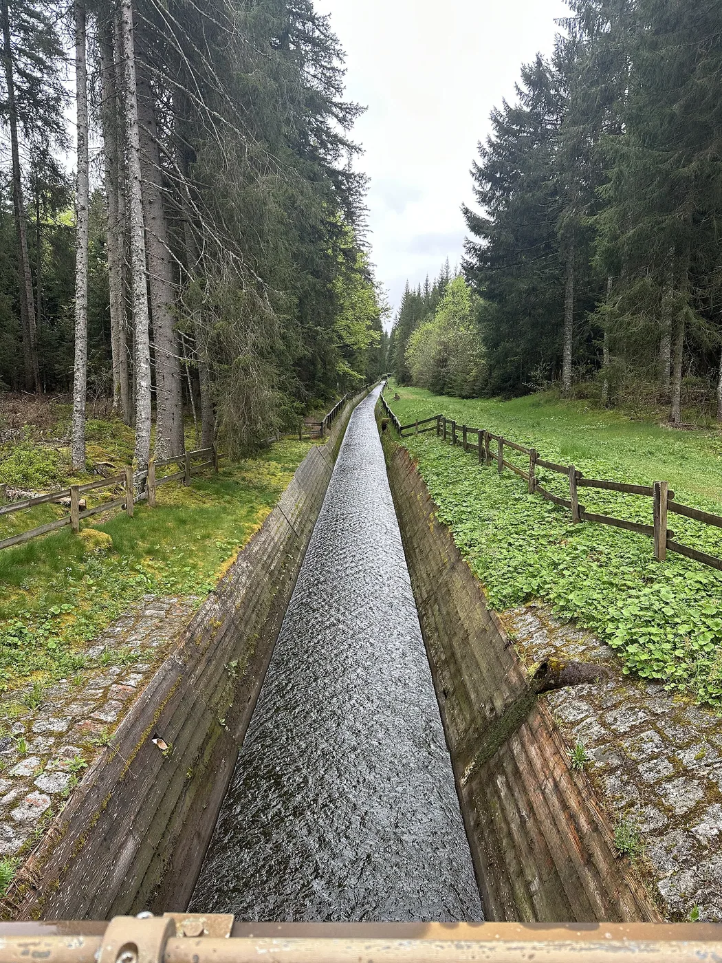 Windgfällweiher in Lenzkirch, Bild 2 von 2